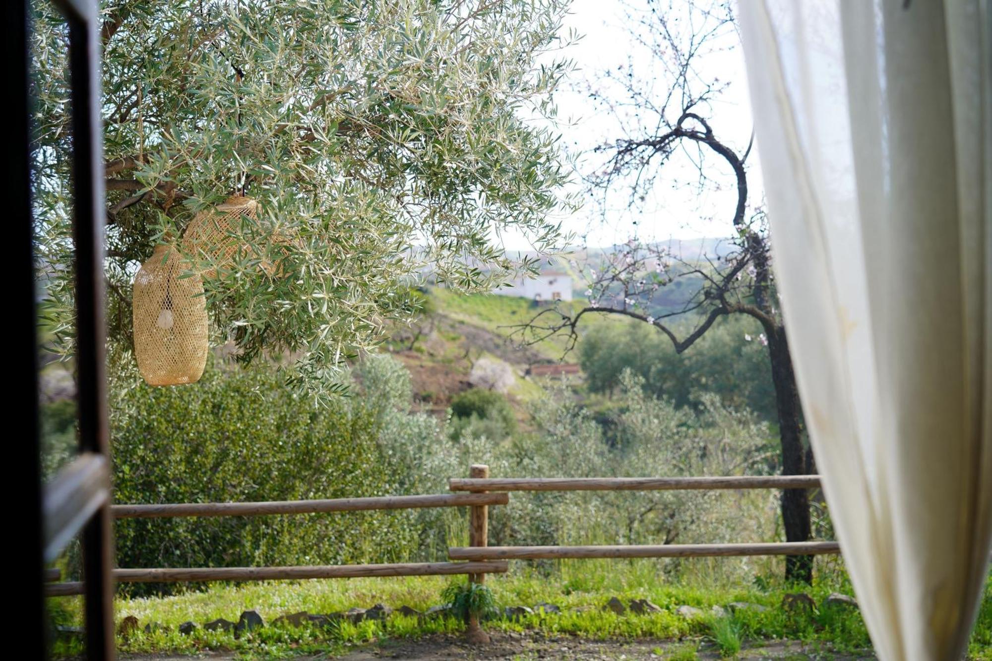 Cortijo Lagar De Luisa Borge Exterior foto